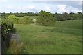 Pasture east of Witheridge in EX16 8AN