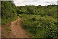 Footpath through Coed Craig-Ruperra in NP10 8GG