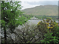 Arrochar through the trees across Loch Long in G83 7YA