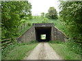 Farm track and footpath under the motorway in S44 5UT