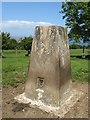 Cefn-y-ffynnon Trig in Old Colwyn Community