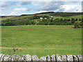 Farmland near Falstone (2) in NE48 1DD