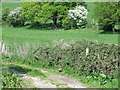 Public footpath at Rackham, West Sussex in BN18 9NT