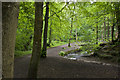 The path through Borsdane Wood in BL5 2DL