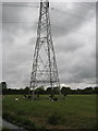Pylon with cows near Poplar Farm in BS24 6RB