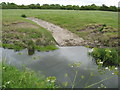 Access ramp for cattle to drink from the River Banwell in BS24 6RB