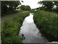The River Banwell at Waterloo Farm in BS29 6LA