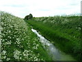 Ottringham Drain in HU12 0AN