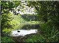 2011 : A disused quarry, flooded in BA4 4PU