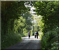 2011 : Ramblers on Bolter's Lane in BA4 4JN