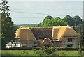 New Thatch Near Danbury in CM3 4AJ
