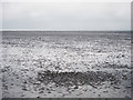 Low tide at Romney Sands in TN29 9NS