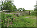 A flowery gateway and start of the path from Wintrath to Queensmead Court in BS25 1PL
