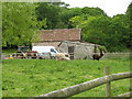 Alpacas grazing at Winterhead Farm in BS25 1PL