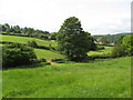 Sheep and horse grazing paddocks on the Sidcot Estate in BS25 1PL