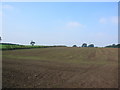 Farmland off the A166 in YO41 1NG