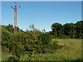 Unusual power line near Ashington in RH20 3BG