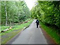 Lane skirting Ross Wood, Comrie in PH6 2JS