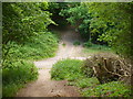 Bridleway Junction on Fetcham Downs in KT22 9DS