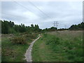 Footpath On Ferndown Common, Ferndown in BH21 7BU