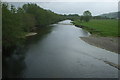 River Severn, Caersws in SY17 5DX