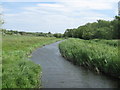 Stream near Westbere Marshes in CT3 4GE