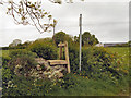 Stile Near Pen-y-fan Bellaf in LL77 7TH