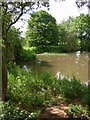 Pond, Walnut Hill Farm in B95 5NE