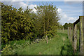 Footpath next to Brough Green Brook in S75 3DR