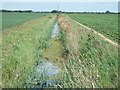 Dike off Ramsey Hollow Drove in PE26 2YB