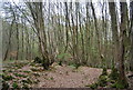 Descending to the footbridge in Tittlesfold Copse in RH14 9BG