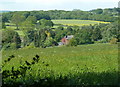 Hillside meadow by Cowly Lane in S18 1QH