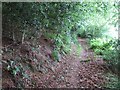 Footpath on Chineway Hill (2)  in EX11 1PQ