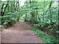 Bridlepath to the north of Chineway Head in EX10 0QQ