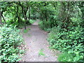 Footpath in Westwood Woodland Park in SO19 9QQ