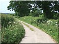 Old road from Gittisham to Halls Farm in EX14 3PG