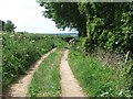 Farm track beside railway line in EX14 3AN