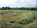 Field with St Lythans burial chamber in Wenvoe Community