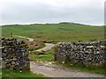 Track at gate north of Thornthwaite in Helbeck
