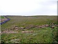 Path over rough grassland north of Thornthwaite in Helbeck