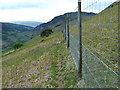 Deer fence high on Achraw Hill - above Glen Ogle in FK19 8PT