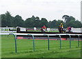 Steeplechase at Fontwell Park racecourse in PO20 3RX