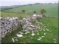 Stone wall in disrepair, north of the Hellstone in DT3 4FA