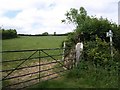 Field gate where footpath from Tawna towards Cardinham crosses minor road in PL30 4EG