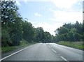 Dorset County Boundary, A35 in DT6 6DB