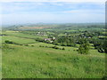 View from Chilcombe Hill, A35 in DT2 9EL