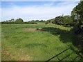 Field by Tombstone Lane in EX16 8JN