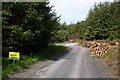Piles of logs in Hafren Forest in SY18 6PT