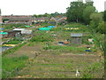 Allotments beside the railway in DN3 1PT
