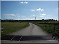 Farm Road with Cattle Grid, near Holnest in DT9 5PR